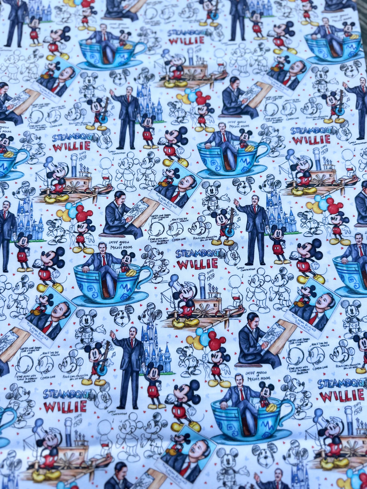 Walt & Mickey Ears